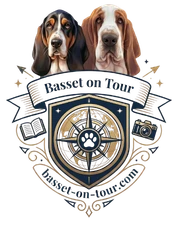 Basset Hound on Tour